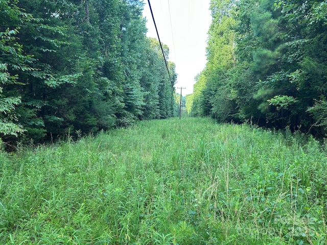 00 Freeman Rd, Bostic, NC 28018 - photo 30