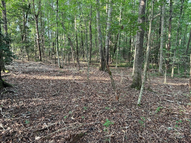 00 Freeman Rd, Bostic, NC 28018 - photo 31