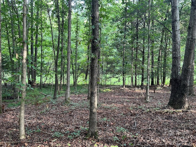 00 Freeman Rd, Bostic, NC 28018 - photo 32