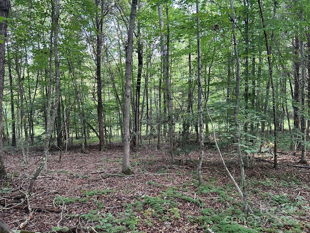 00 Freeman Rd, Bostic, NC 28018 - photo 33