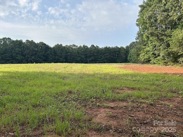 00 Freeman Rd, Bostic, NC 28018 - photo 34