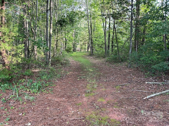 00 Freeman Rd, Bostic, NC 28018 - photo 38