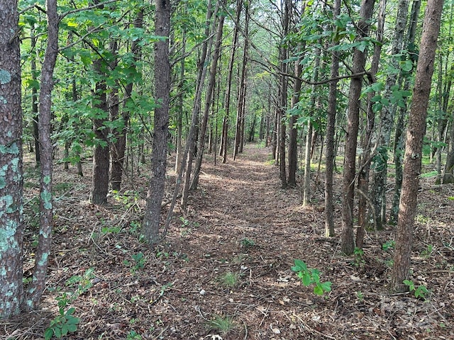 00 Freeman Rd, Bostic, NC 28018 - photo 39