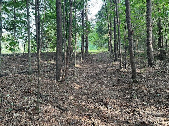 00 Freeman Rd, Bostic, NC 28018 - photo 40