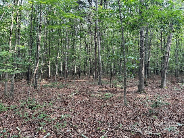 00 Freeman Rd, Bostic, NC 28018 - photo 41