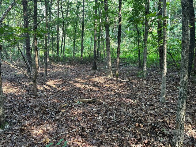 00 Freeman Rd, Bostic, NC 28018 - photo 43
