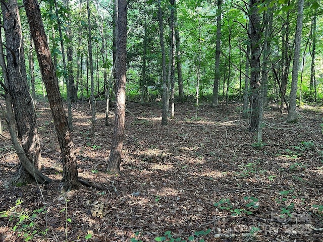 00 Freeman Rd, Bostic, NC 28018 - photo 44