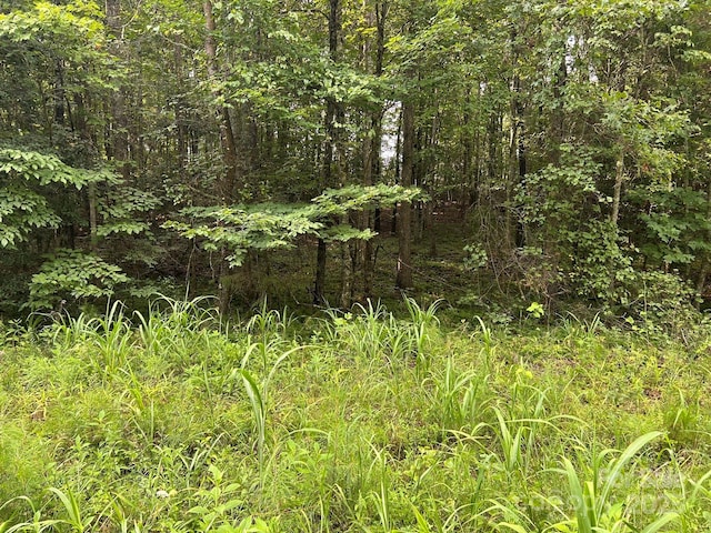 00 Freeman Rd, Bostic, NC 28018 - photo 45
