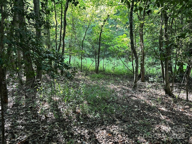 00 Freeman Rd, Bostic, NC 28018 - photo 46