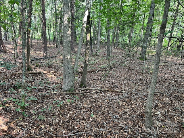 00 Freeman Rd, Bostic, NC 28018 - photo 47