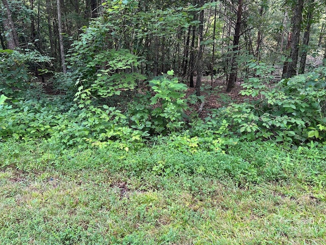 00 Freeman Rd, Bostic, NC 28018 - photo 48