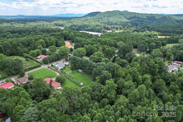 497 Ridge Rd, Marion, NC 28752 - photo 33