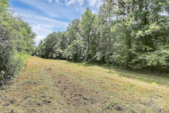 1001 Rocky Meadows Ln, Concord, NC 28025 - photo 23