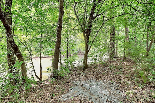 1001 Rocky Meadows Ln, Concord, NC 28025 - photo 24