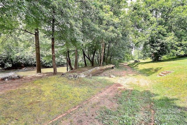 1001 Rocky Meadows Ln, Concord, NC 28025 - photo 38