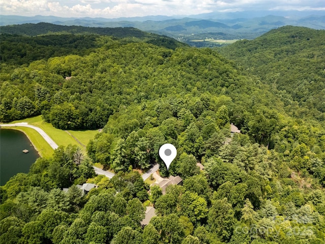16 Uloque Ct Unit L22/U21, Brevard, NC 28712 - photo 40