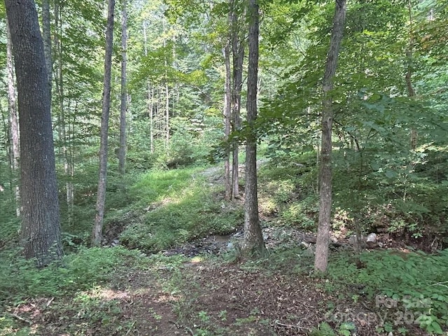 659 R B Deyton Rd, Green Mountain, NC 28740 - photo 19