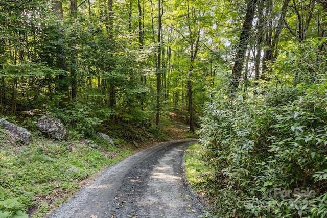 659 R B Deyton Rd, Green Mountain, NC 28740 - photo 25