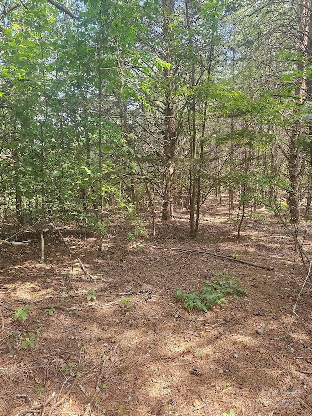 0 E Green Creek Dr, Tryon, NC 28782 - photo 2