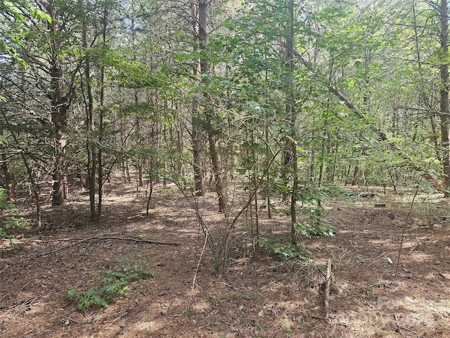 0 E Green Creek Dr, Tryon, NC 28782 - photo 3