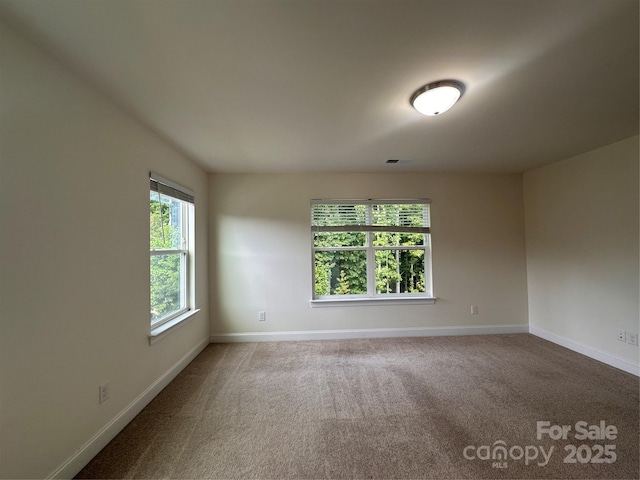 10207 Glenmere Creek Cir, Charlotte, NC 28262 - photo 18