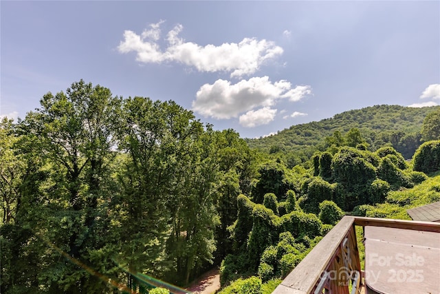 160 Observation Point Rd, Bryson City, NC 28713 - photo 5