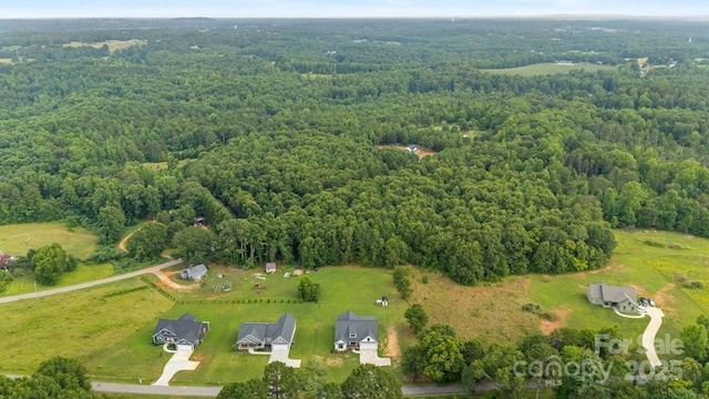261 Ferree Rd, Campobello, SC 29322 - photo 46