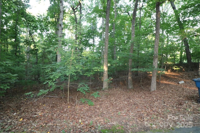 39 Search Dr, Concord, NC 28025 - photo 3