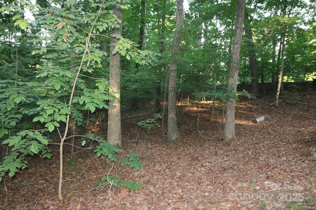 39 Search Dr, Concord, NC 28025 - photo 4