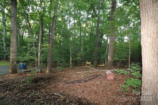 39 Search Dr, Concord, NC 28025 - photo 6