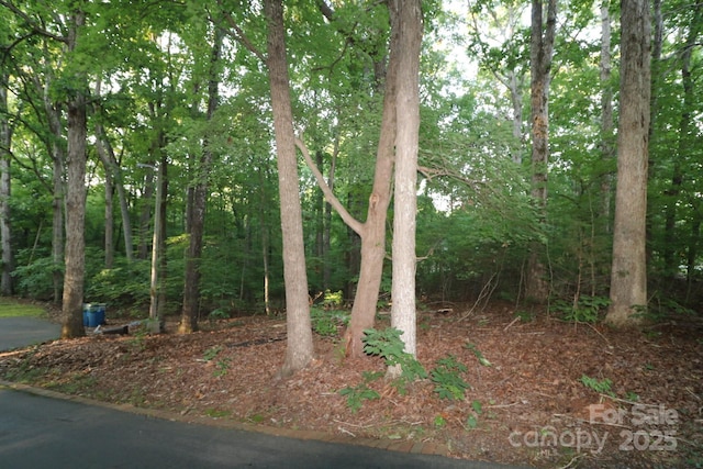39 Search Dr, Concord, NC 28025 - photo 7