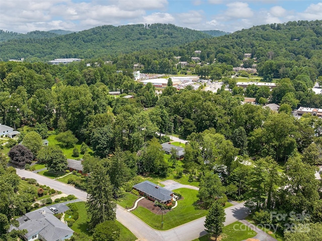 8 Bevlyn Dr, Asheville, NC 28803 - photo 34