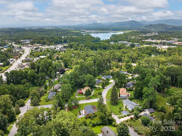 8 Bevlyn Dr, Asheville, NC 28803 - photo 35