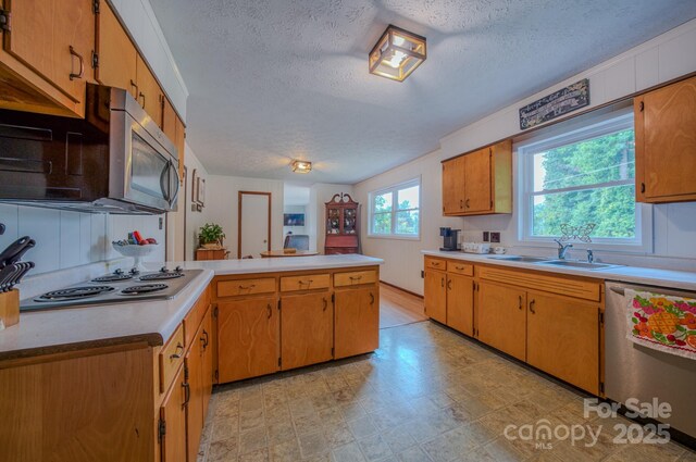 85 Pine Ridge Rd, Mars Hill, NC 28754 - photo 3