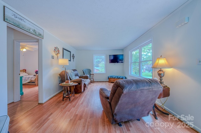 85 Pine Ridge Rd, Mars Hill, NC 28754 - photo 6