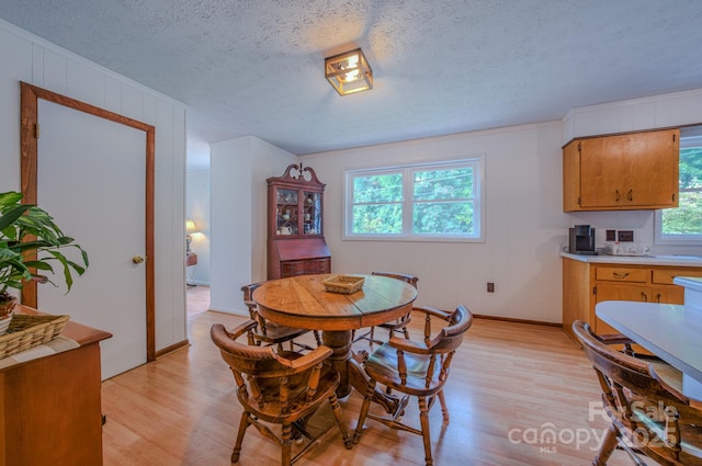 85 Pine Ridge Rd, Mars Hill, NC 28754 - photo 7