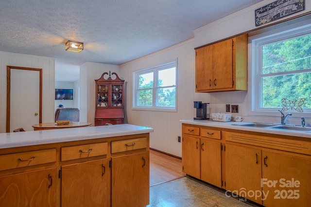 85 Pine Ridge Rd, Mars Hill, NC 28754 - photo 12