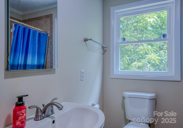 85 Pine Ridge Rd, Mars Hill, NC 28754 - photo 21