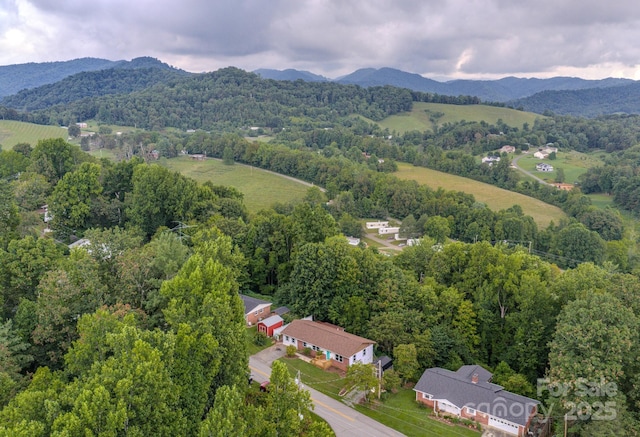 85 Pine Ridge Rd, Mars Hill, NC 28754 - photo 32
