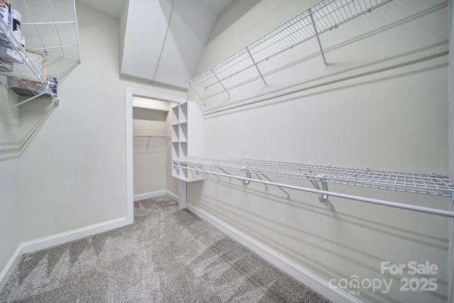 3053 Denali Way, Rock Hill, SC 29732 - photo 21