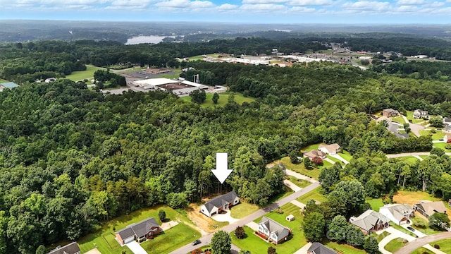 303 Wittenburg Springs Dr Unit 53, Alexander, NC 28681 - photo 46