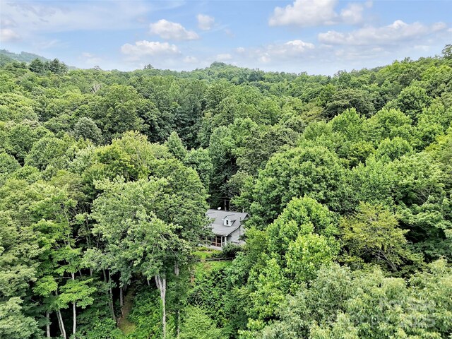73 Hoot Owl Holw, Sylva, NC 28779 - photo 42