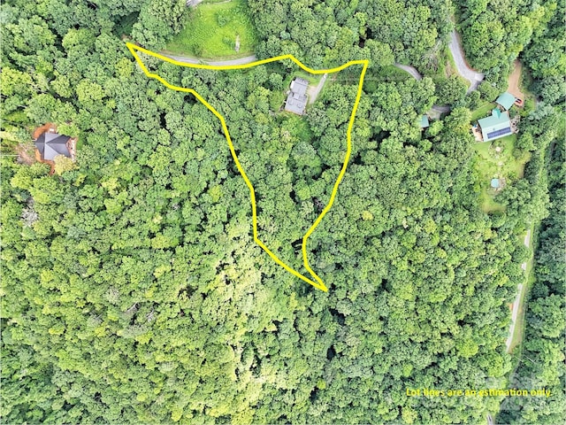 73 Hoot Owl Holw, Sylva, NC 28779 - photo 46
