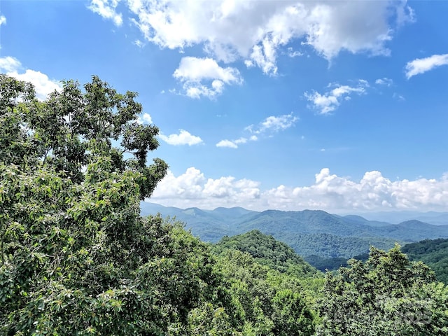 73 Hoot Owl Holw, Sylva, NC 28779 - photo 4