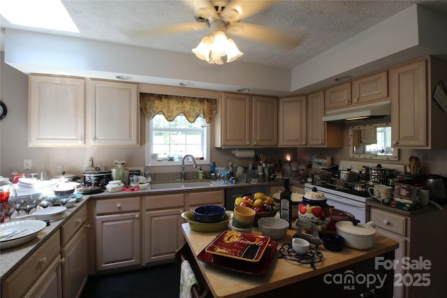 1477 Taylorsville Rd SE, Lenoir, NC 28645 - photo 10