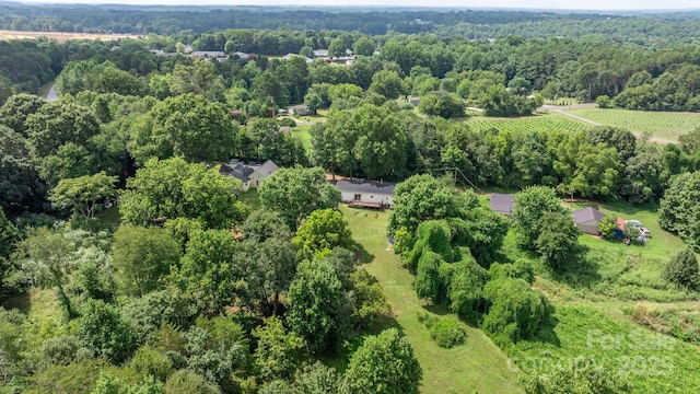 2220 Claremont Rd, Newton, NC 28658 - photo 10