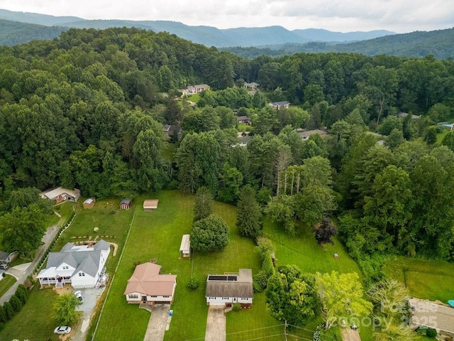 532 Elm Bend Rd, Brevard, NC 28712 - photo 36