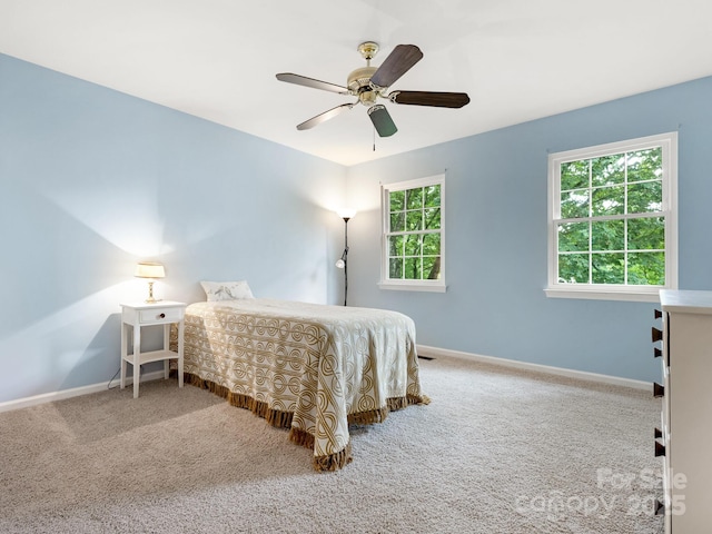 12039 Mallard Ridge Dr, Charlotte, NC 28269 - photo 23