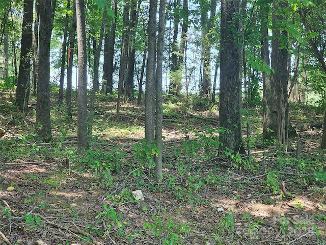 0000 Deer Tract Cir, Lancaster, SC 29720 - photo 3