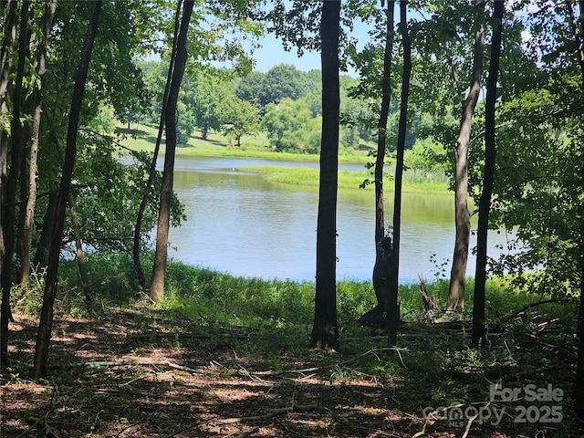 0000 Deer Tract Cir, Lancaster, SC 29720 - photo 4